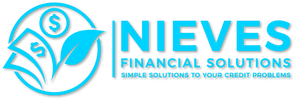 Nieves Financial Solutions LLC